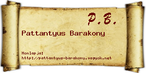 Pattantyus Barakony névjegykártya